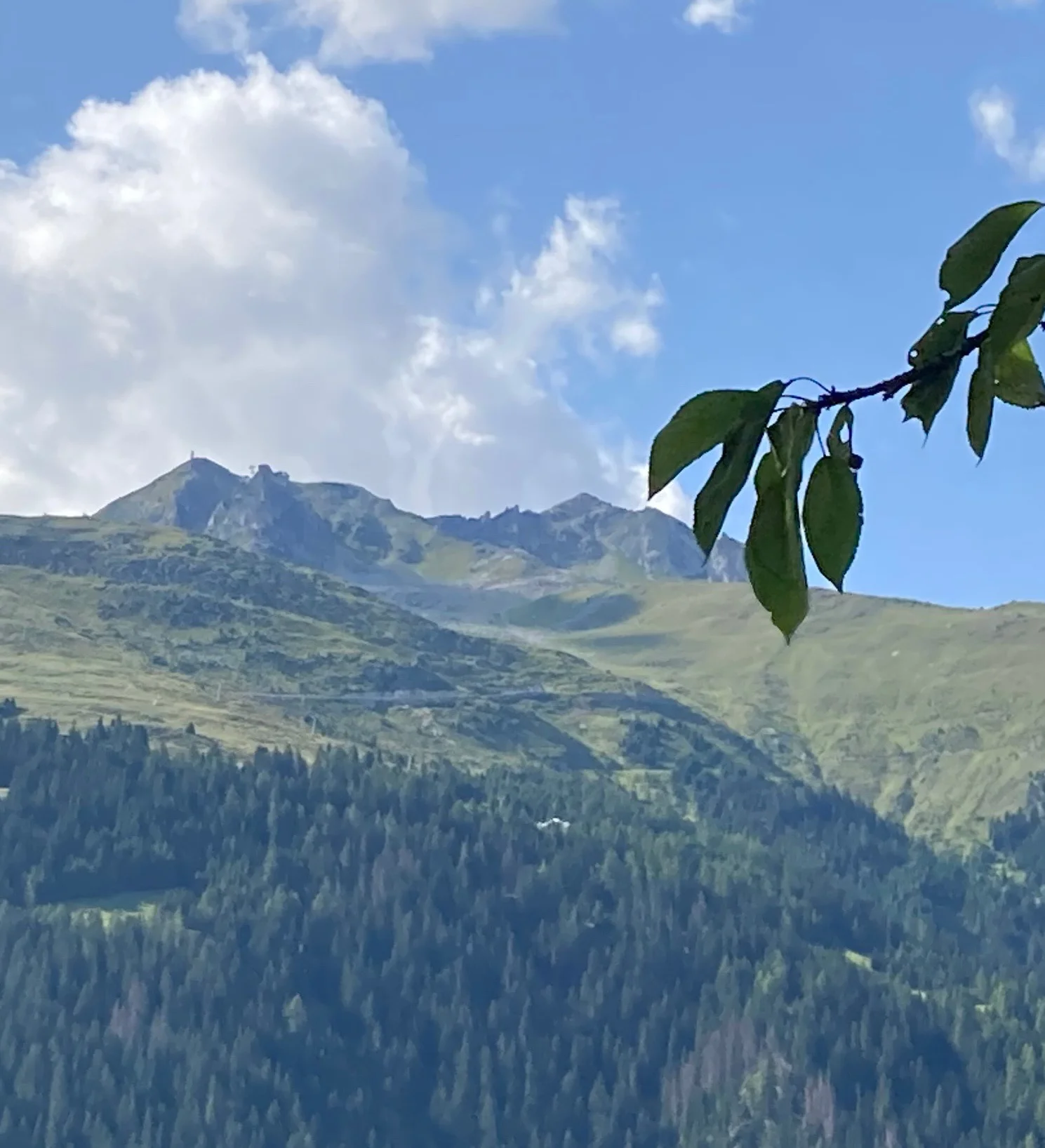 Blick von Ernen zum Eggishorn. Das Hotel Jungfrau-Eggishorn stand am horizontalen Saumpfad über der Waldgrenze vor einem dunkeln felsigen Abhang. Die Stützmauer der einstigen Hotelterrasse ist noch sichtbar. (Foto: © Dieter Imboden)