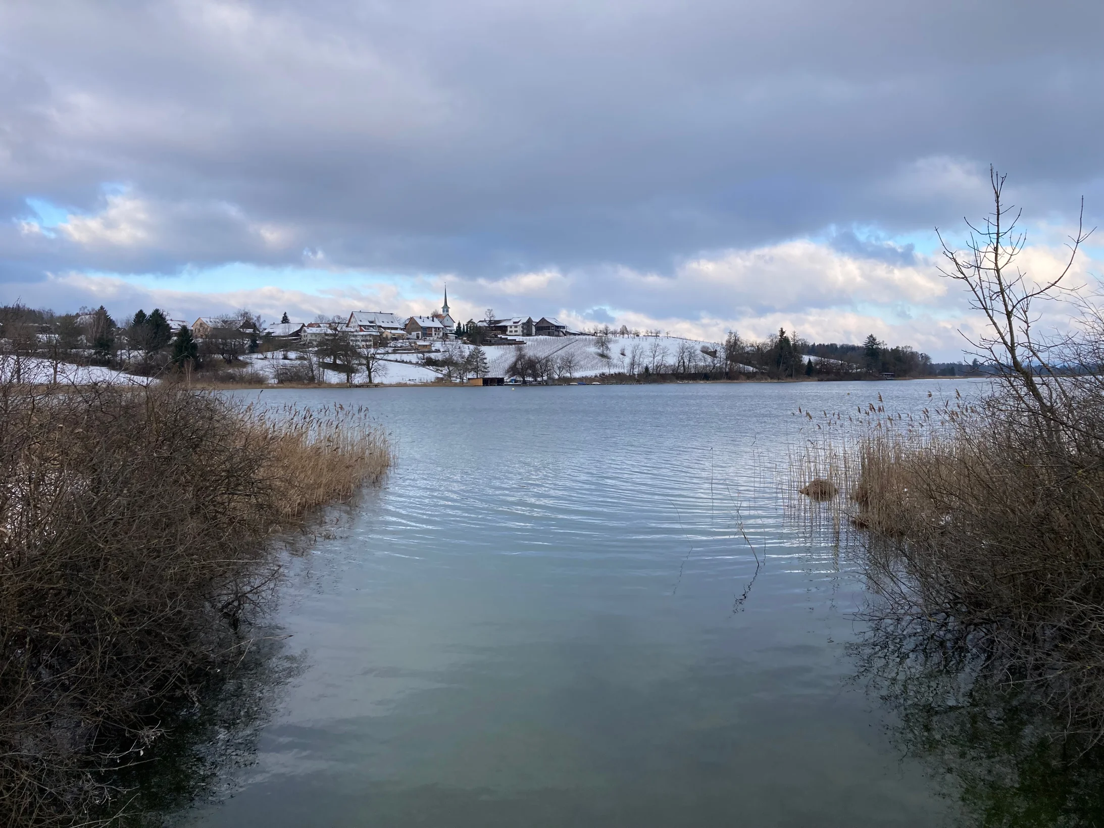 Pfäffikersee