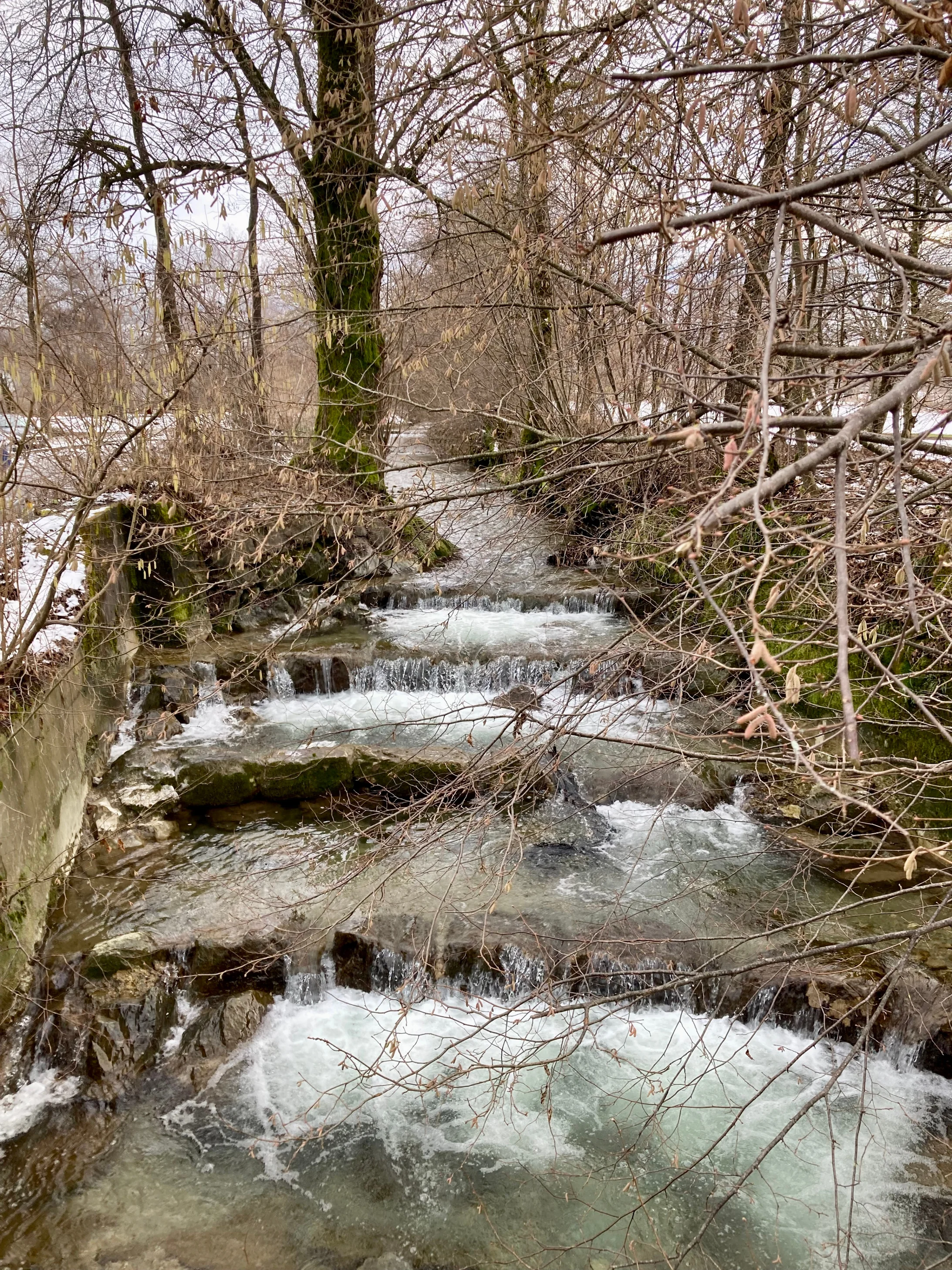 Pfäffikersee