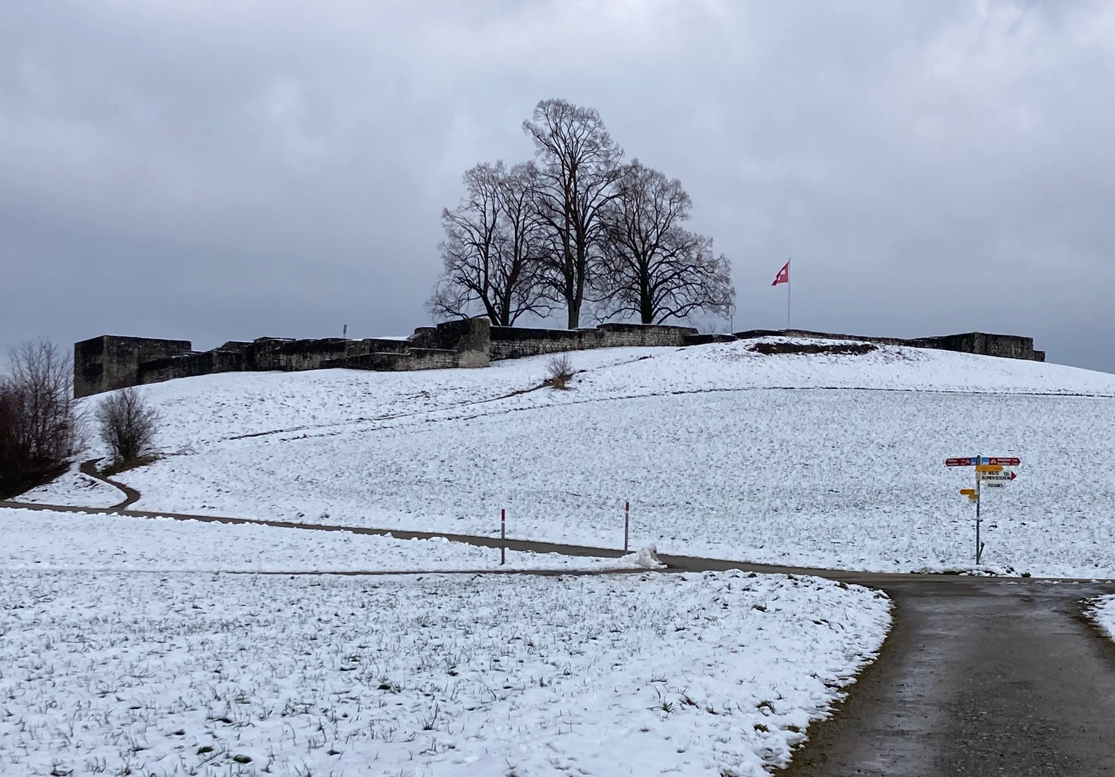 Pfäffikersee