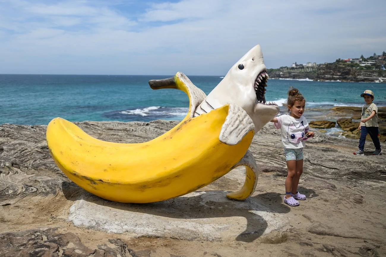 Sharnana Skulptur, Sidney