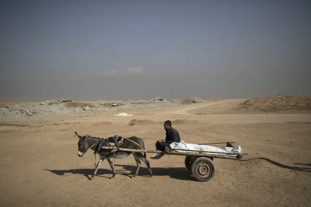 19. November: Eine Granate hat den 19-jährigen Berzan Ibrahim Khelil vor den Toren Mosuls in den Tod gerissen. Sein Cousin bringt ihn jetzt zum Friedhof. Die irakischen Streitkräfte haben beim Vormarsch auf Mosul weitere Geländegewinne erzielt, doch der Widerstand des „Islamischen Staats“ ist erbittert. Die irakische Armee erwartet jetzt verlustreiche Strassenkämpfe. 
