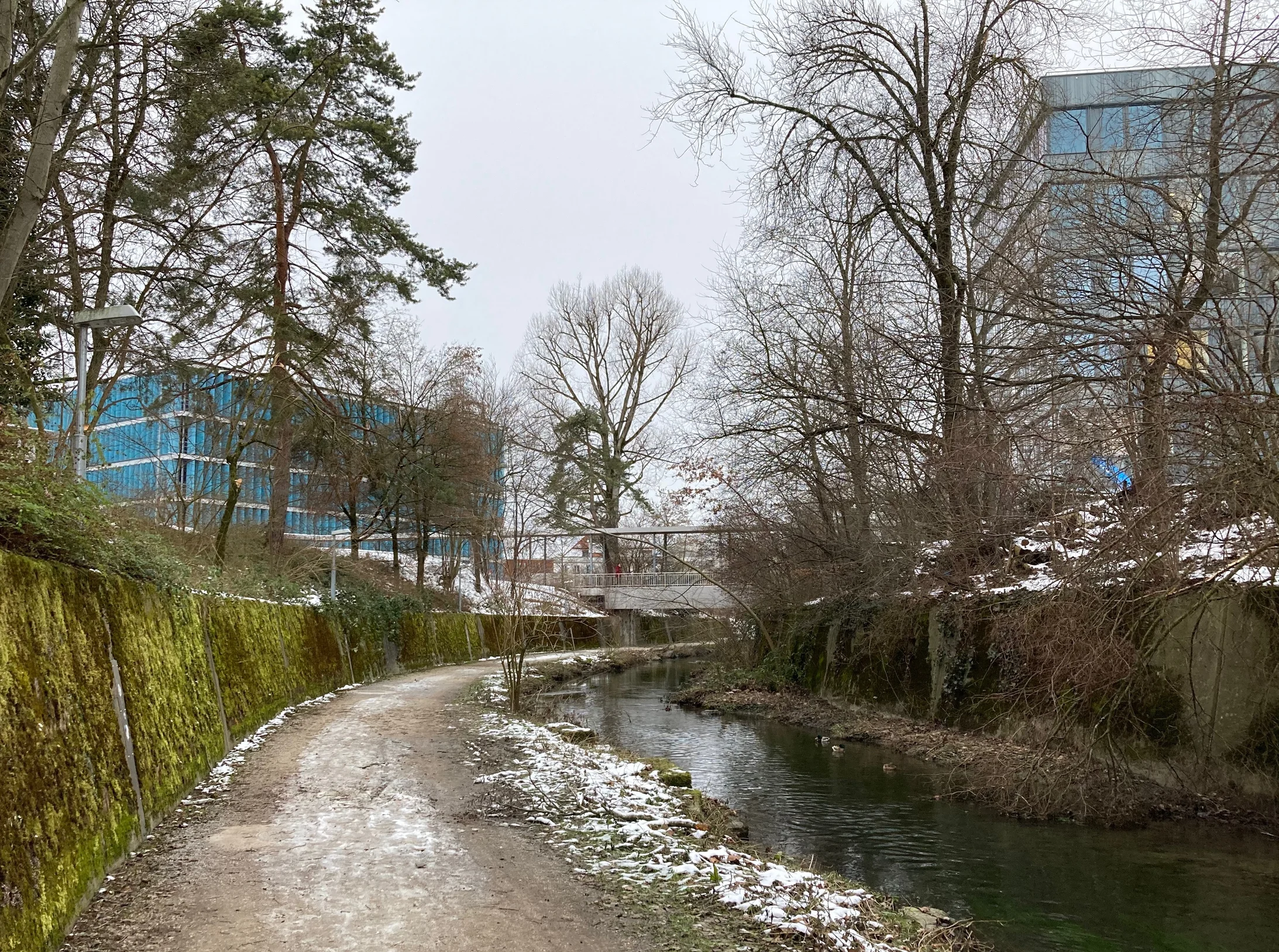 Der Chriesbach in der Abflussrinne zwischen Eawag und Empa (Foto: Dieter Imboden)