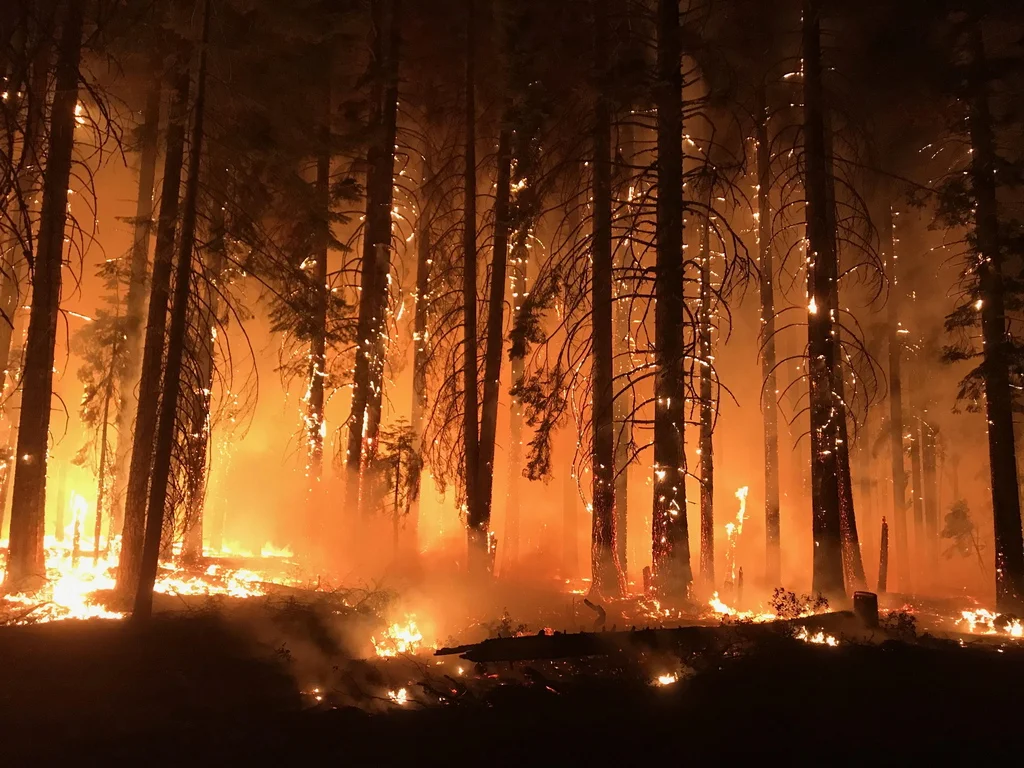 epa07177469 An undated handout photo made available by the United States Forest Service (USFS) and the National Wildfire Coordinating Group (NWCG) on Inciweb on 19 November 2018 shows the Camp Fire consuming trees in Northern California, USA. The death toll from the Camp Fire increased to 77 on 18 November 2018, as the blaze destroyed thousands of homes. Officials said that around 1,000 people are missing and unaccounted for. The fire, the deadliest and most destructive wildfire in the state's history, has…