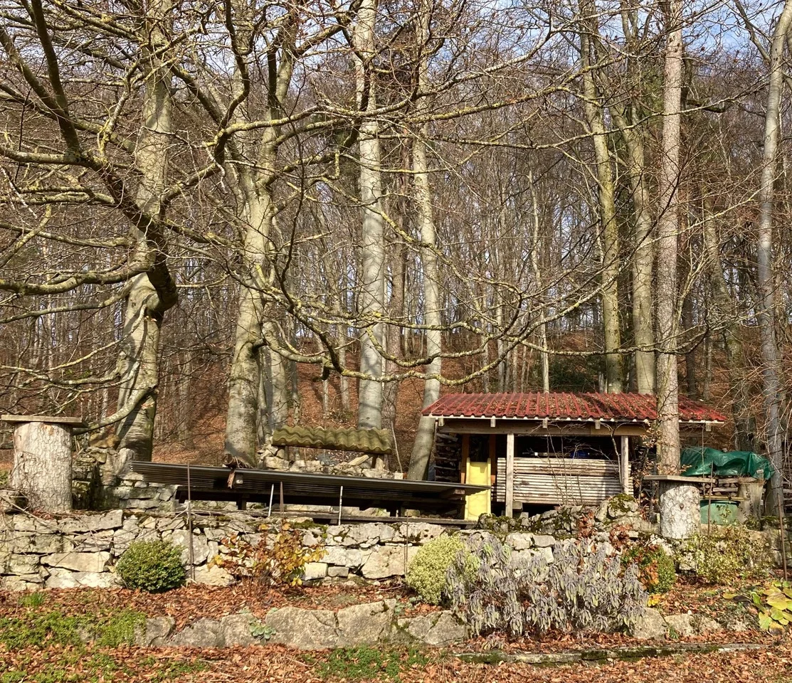 Picknick-Paradies beim Weiler Elmhard