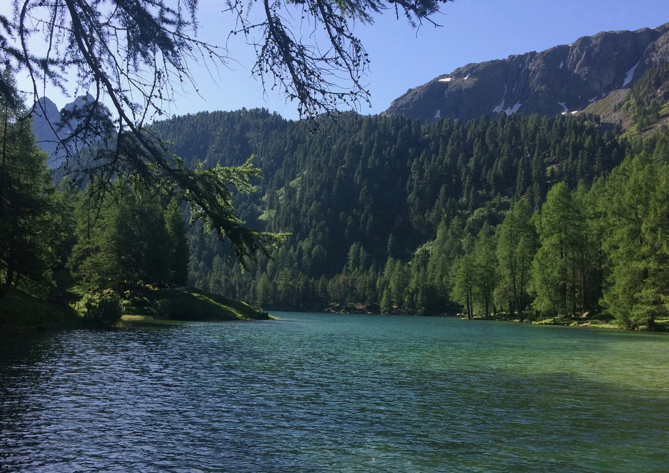 Palpuognasee am Albulapass mit Dschimels (Zwilllinge)