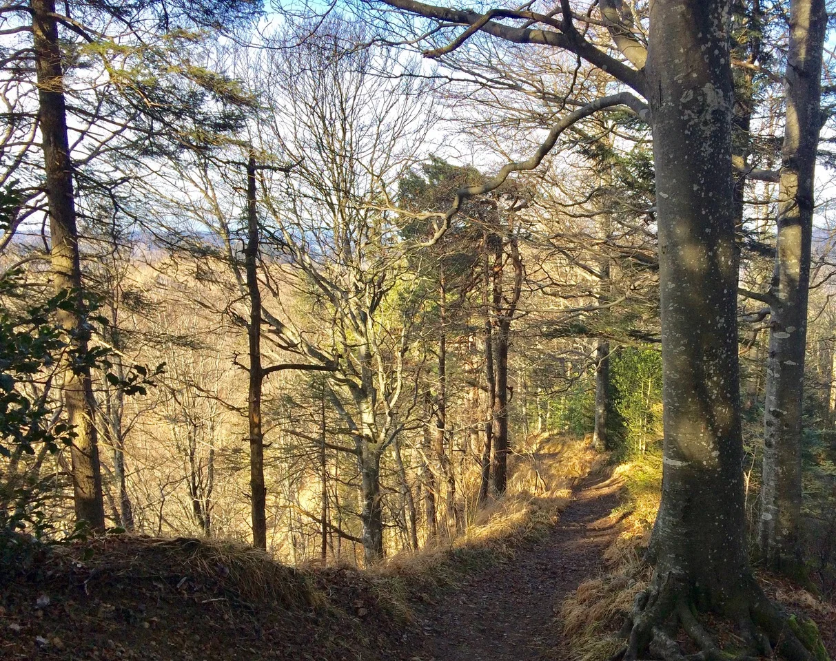 Auf dem Weg von Gfell zum Hörnli (Foto: Dieter Imboden)