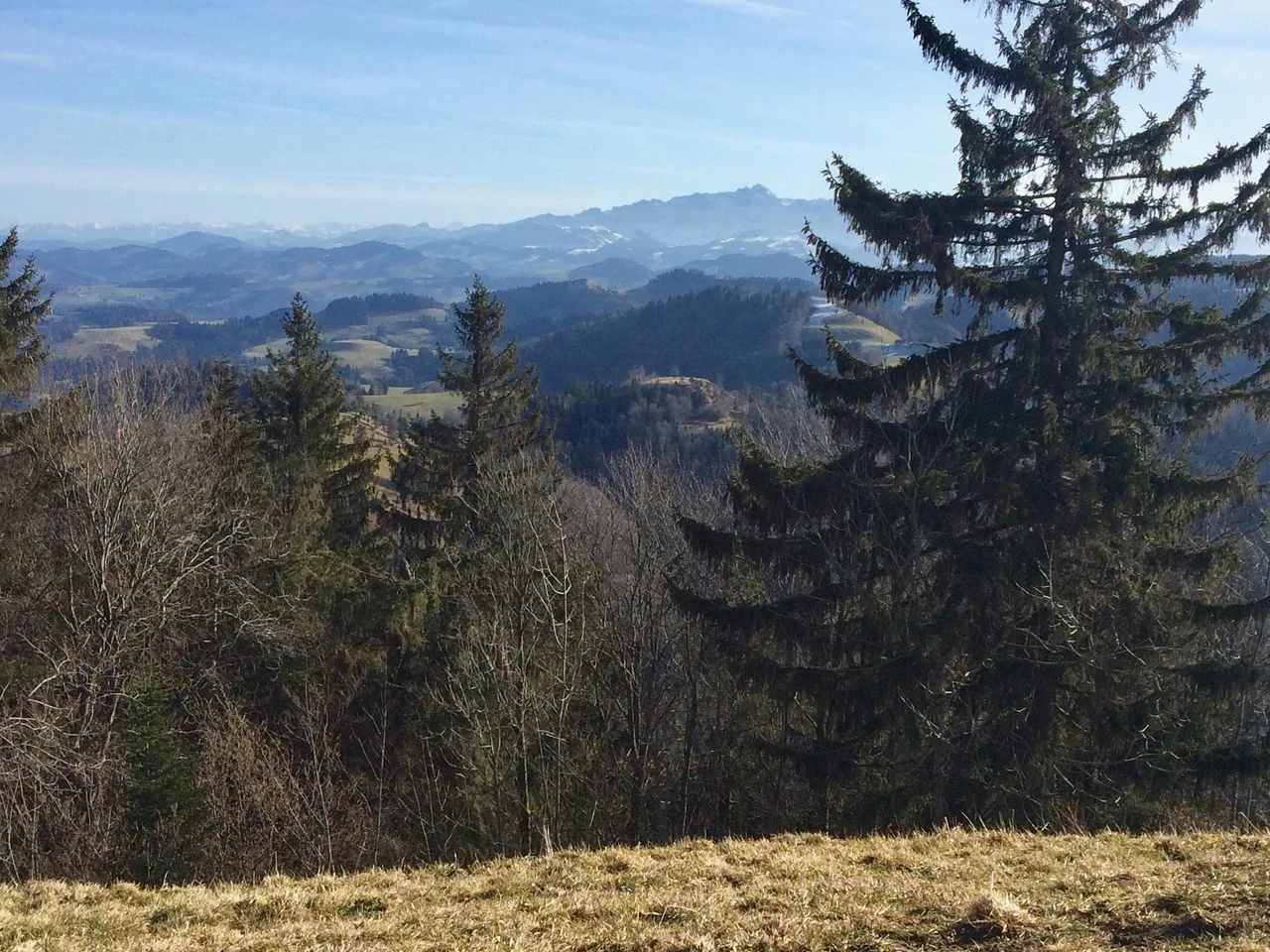 Blick vom Hörnli gegen Osten (Foto: Dieter Imboden)