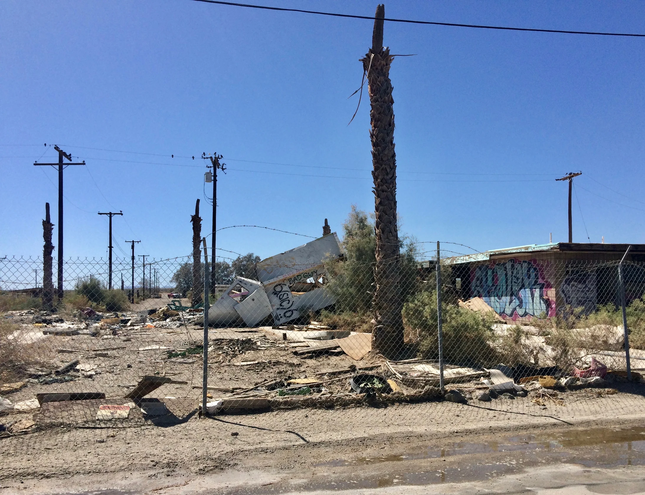 Desert Beach, Salton Sea: Zivilisation auf dem Rückzug (Foto: J21, Dieter Imboden)