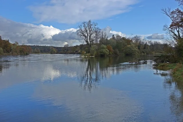 Beim Thurspitz. Einmündung der Thur (links) in den Rhein (Foto U. Bundi)