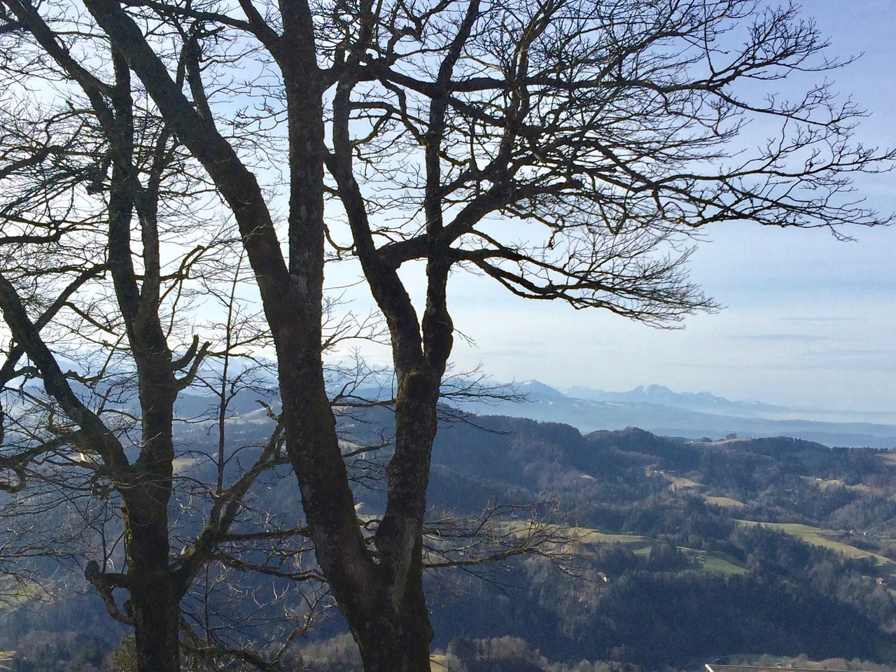 Blick vom Hörnli zu Rigi und Pilatus (Foto: Dieter Imboden)