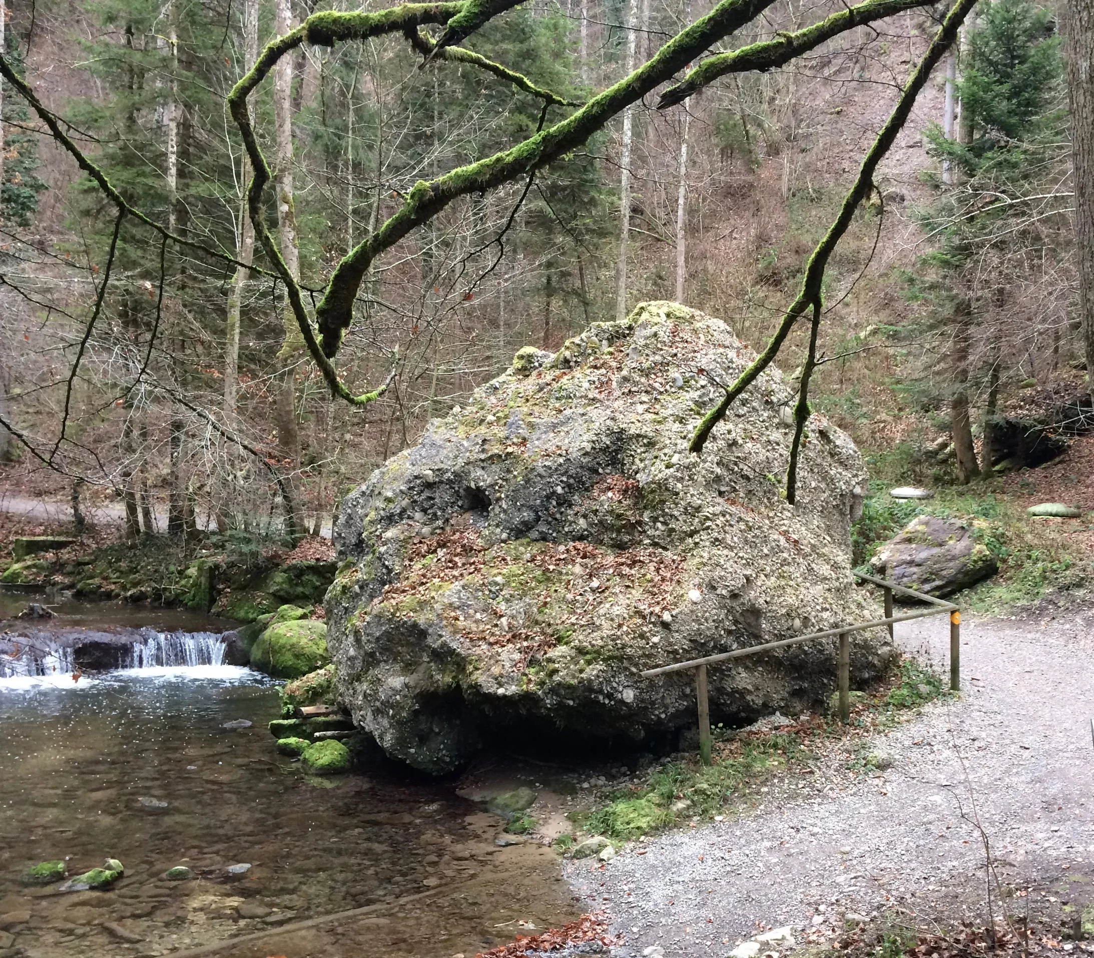 Drachenkopf (Bild: J21, Dieter Imboden)