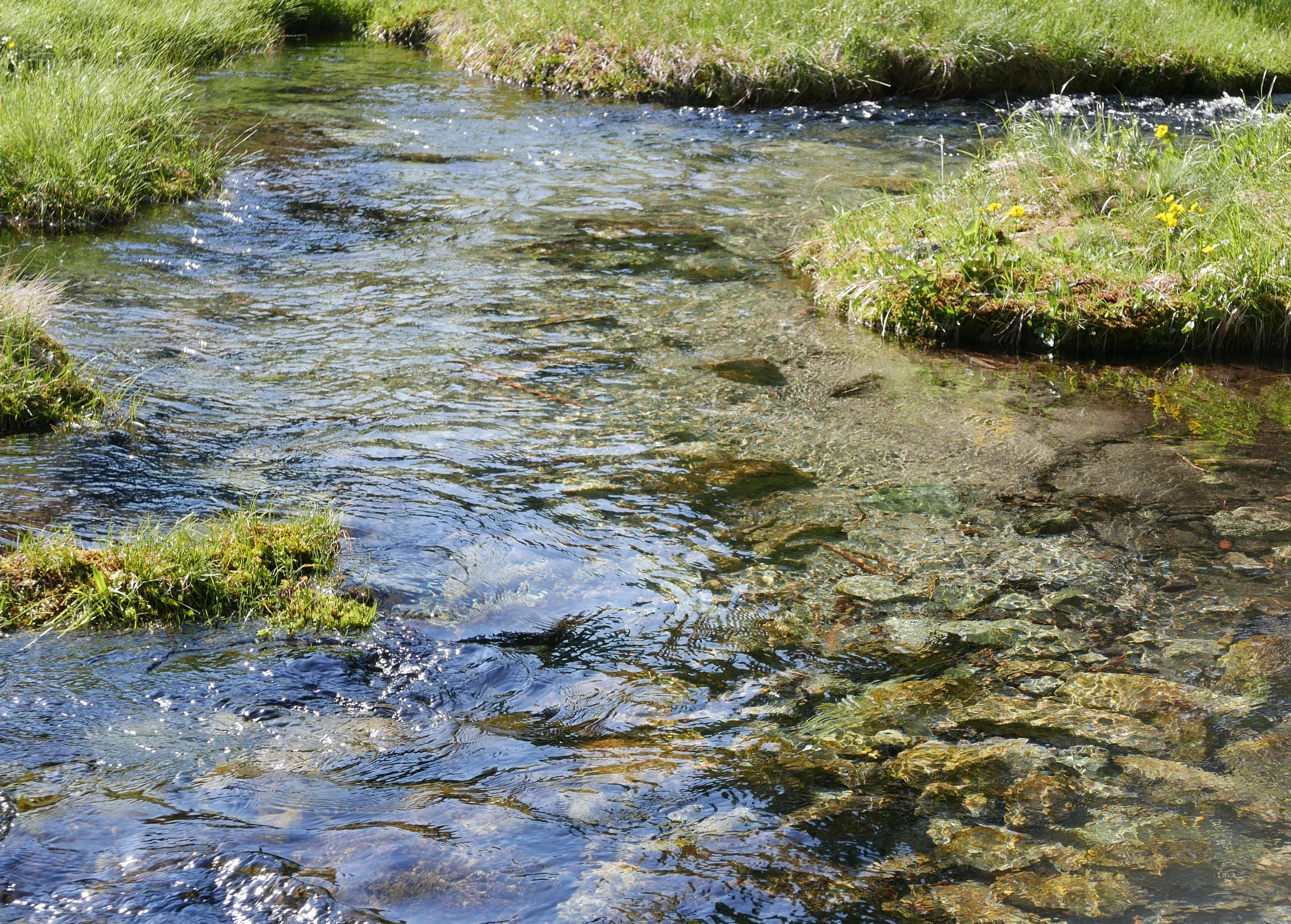 Kristallklares Wasser