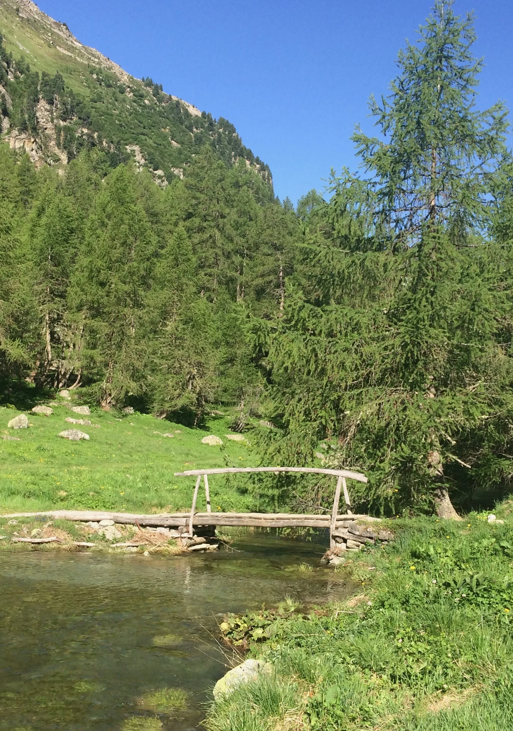 Das Brücklein beim Ausfluss des Palpuognasees