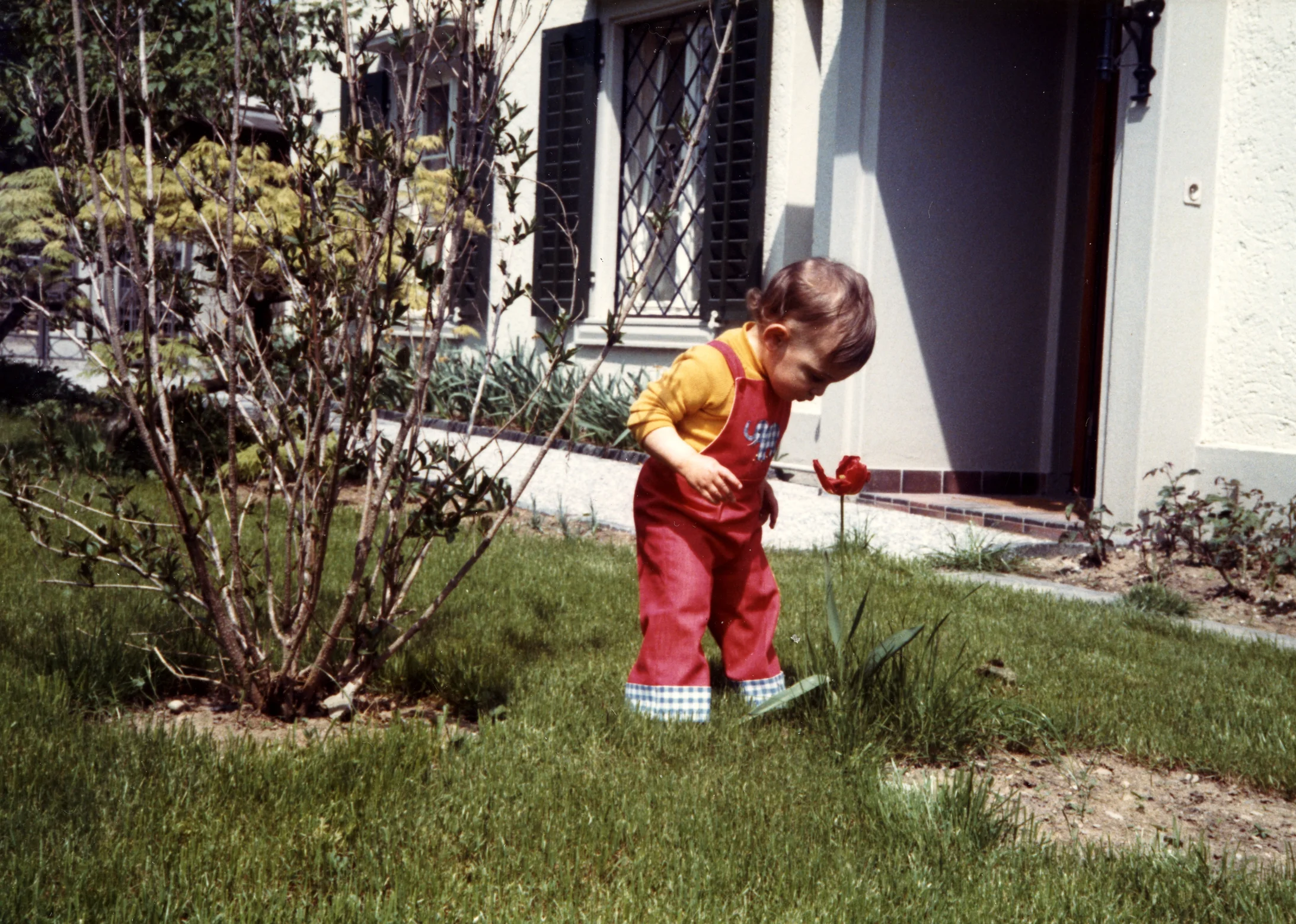 "Schöni Bule", Gattikon, Juni 1973