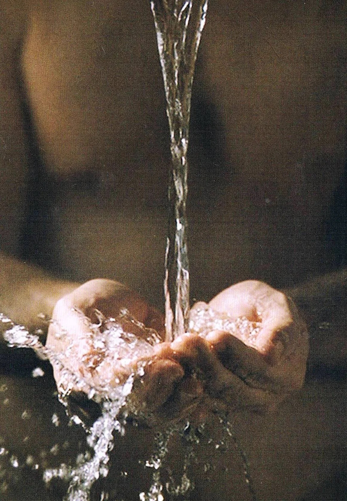 Ablutions, 2005  (Ausschnitt). Videodiptychon auf  Plasmabildschirmen, Farbe.(am Eingang des Münsters). Foto : Kira Perov
