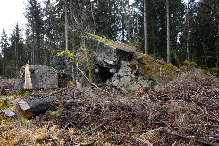 (Fotoagentur Sepp Spiegl)