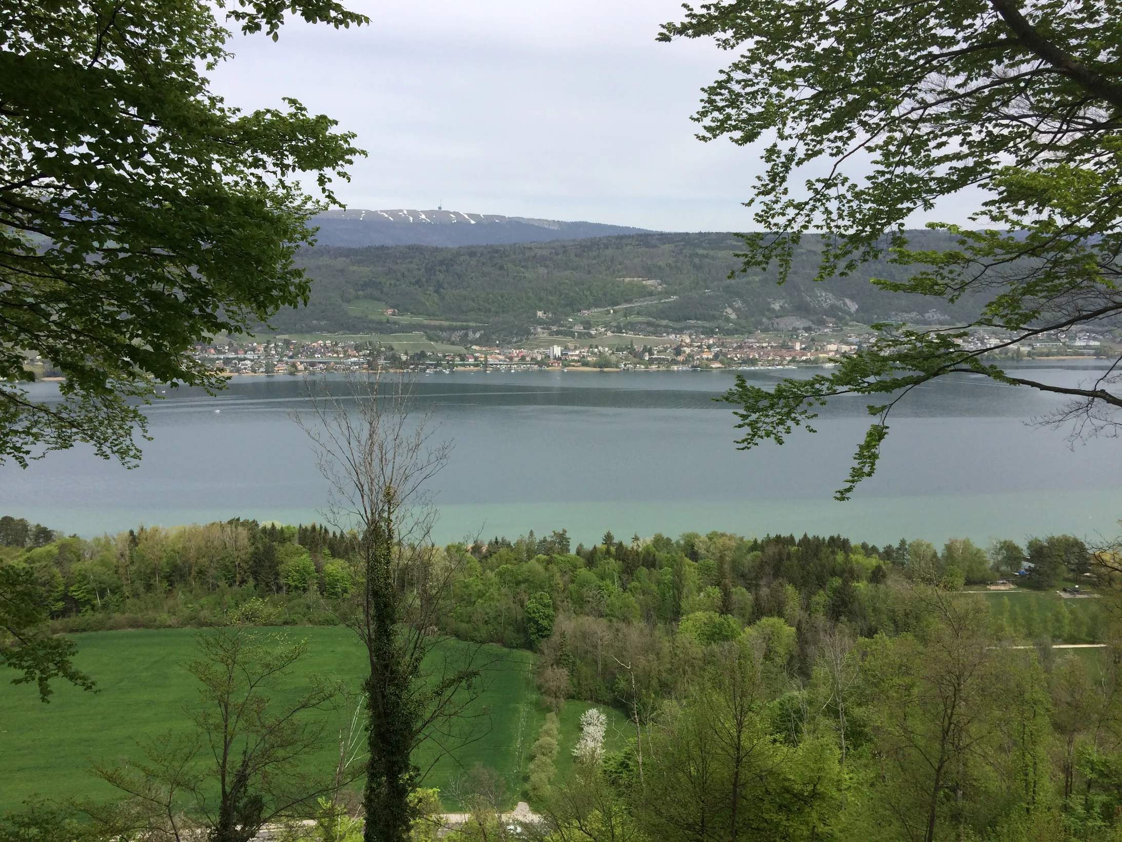 Blick vom Jolimont über den Bielersee nach Neuenstadt. Im Hintergrund der Chasseral.

