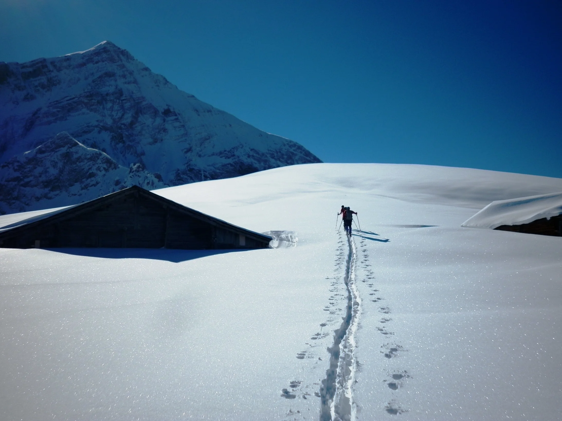 Der Gipfel, eine gemütliche runde Schneekuppe