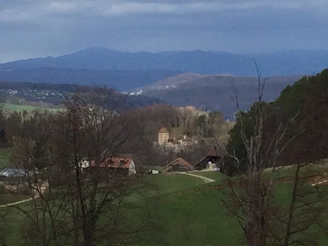 Blick auf Arxhof und dahinter Schloss und Bauernhof Wildenstein, dahinter die Höhen des Schwarzwalds