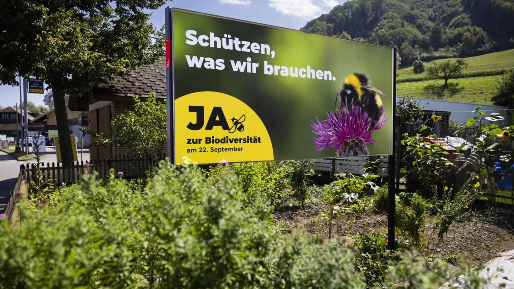 Biodiversitätsinitiative